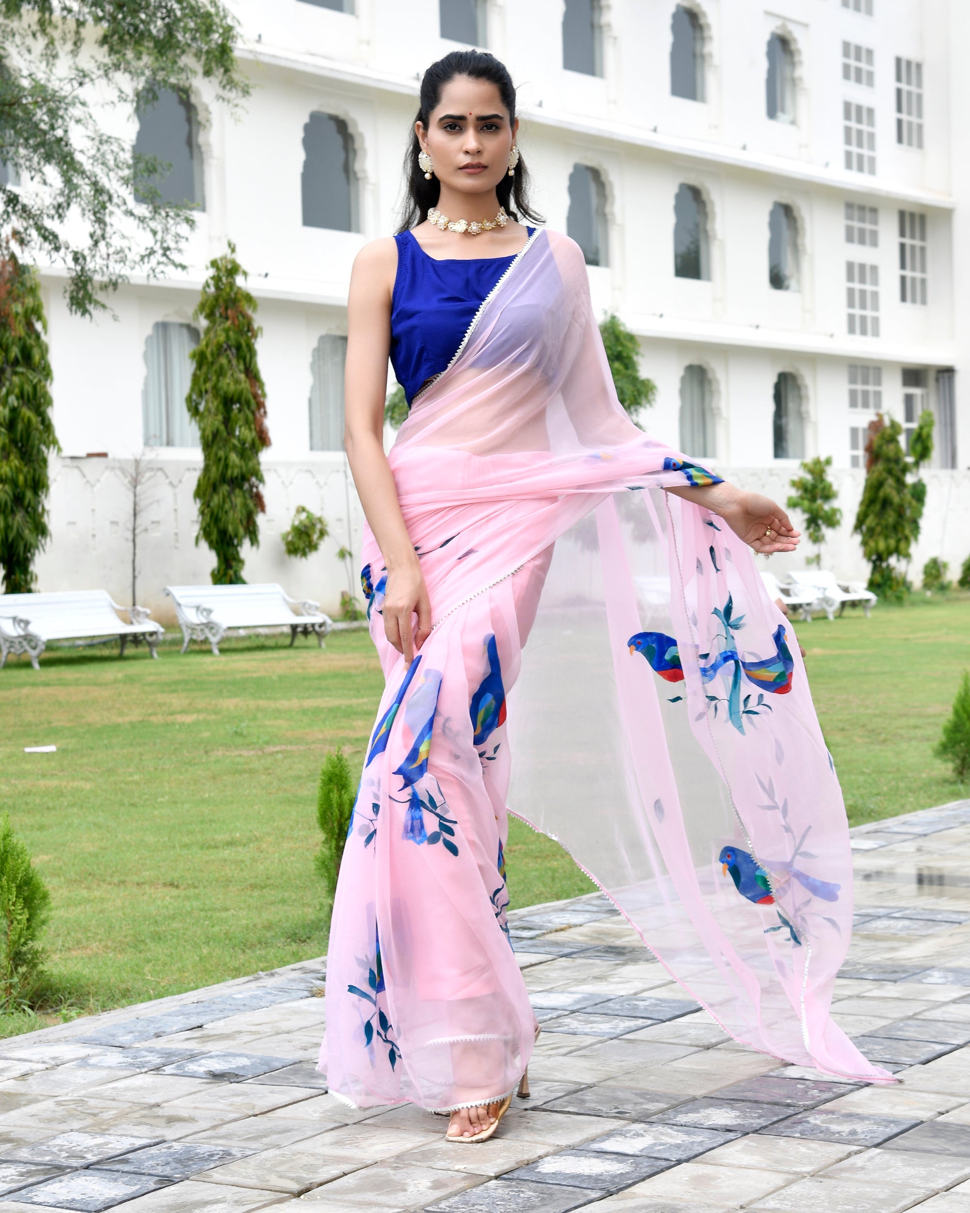 Naina Pink Handpainted Saree