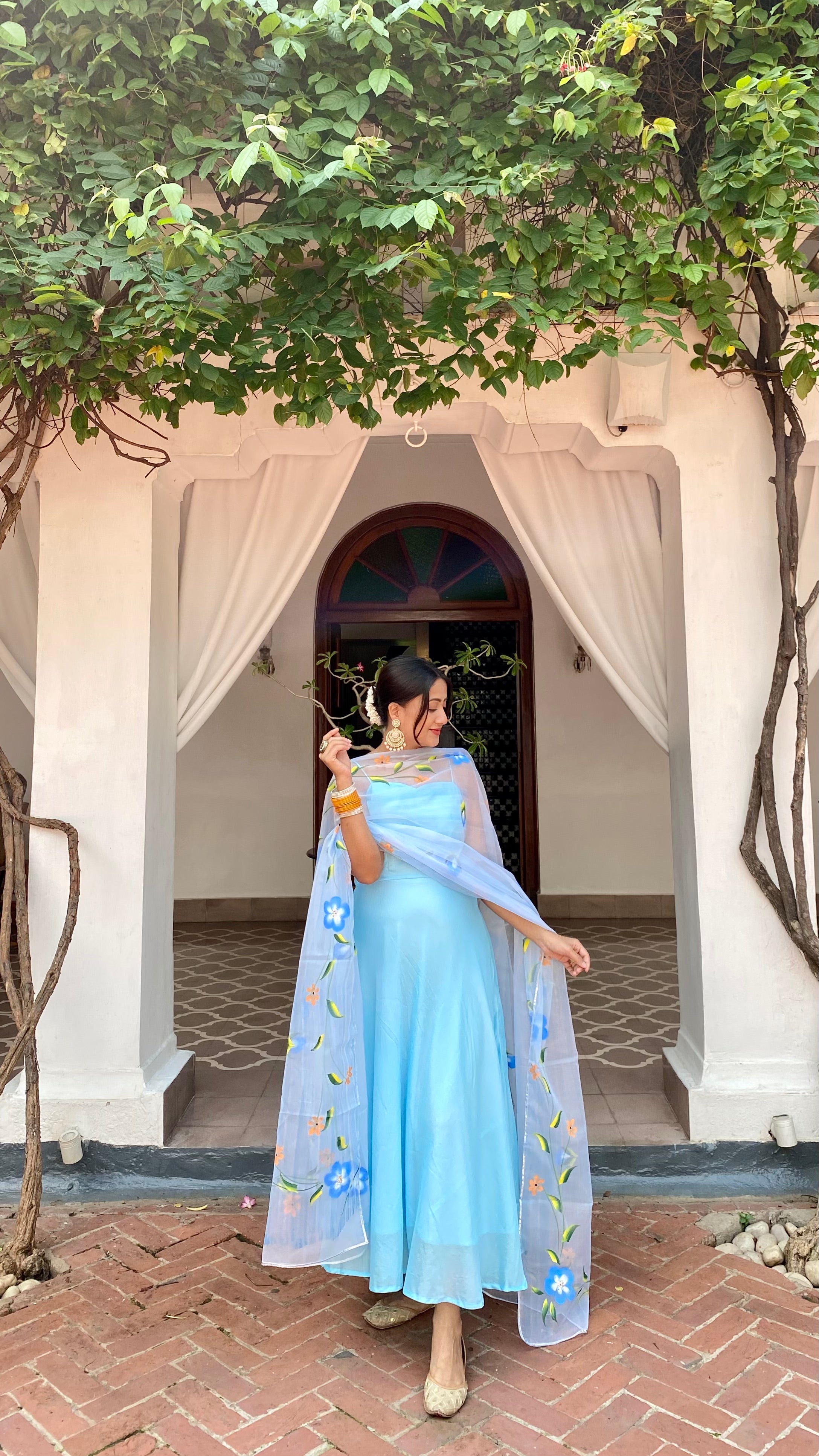 Aashvi Blue Suit Set