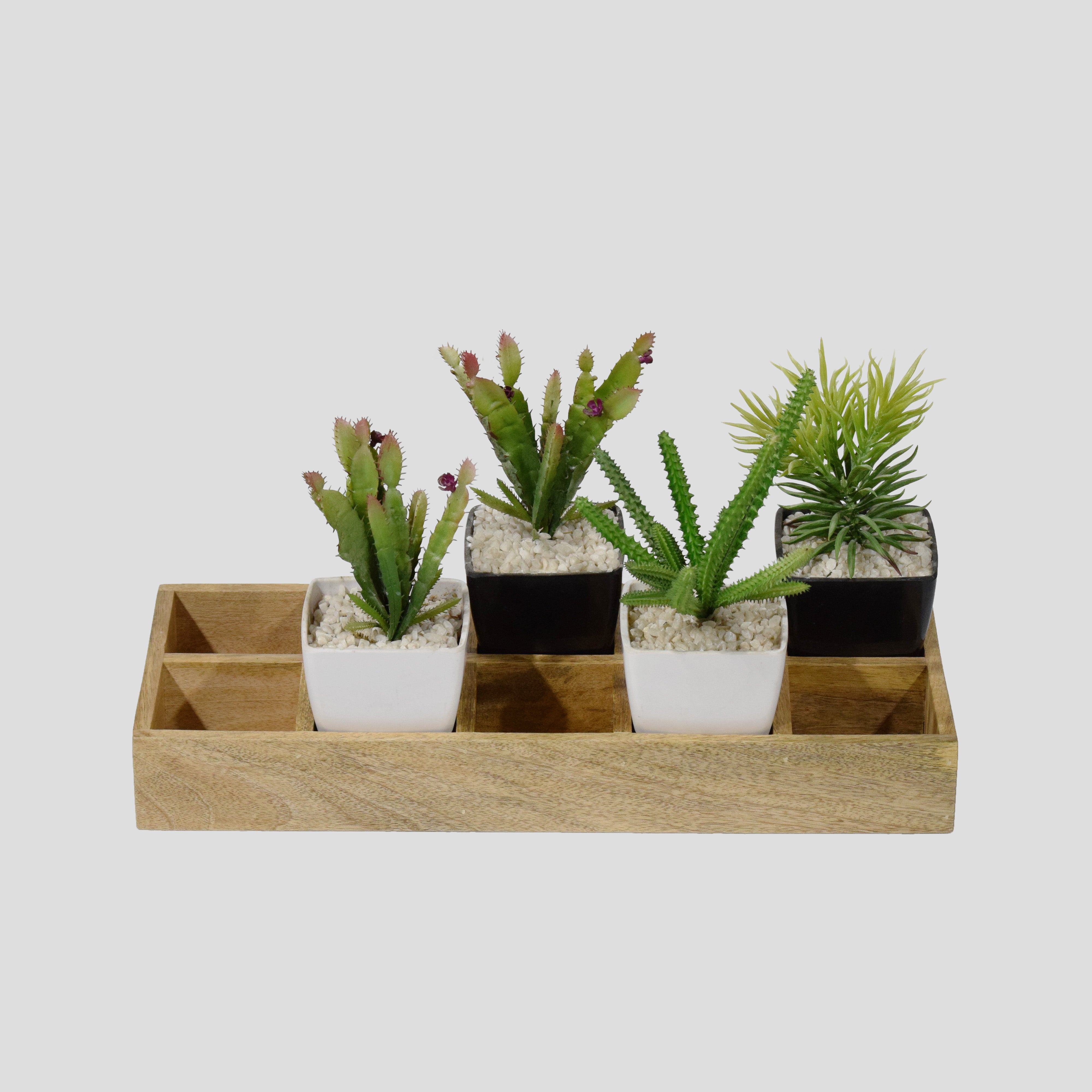 Flower pot organizer