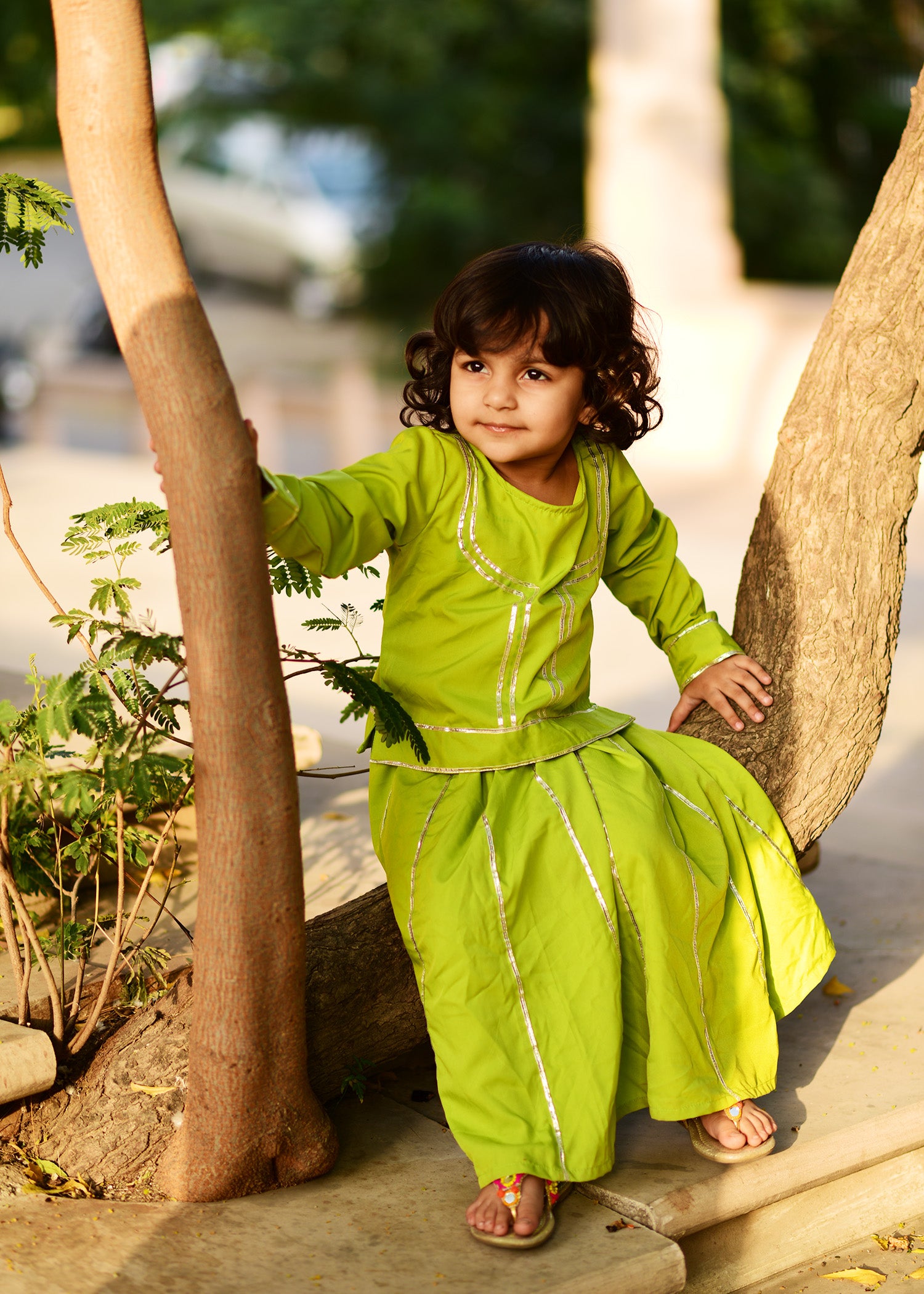 Lime lehenga choli set